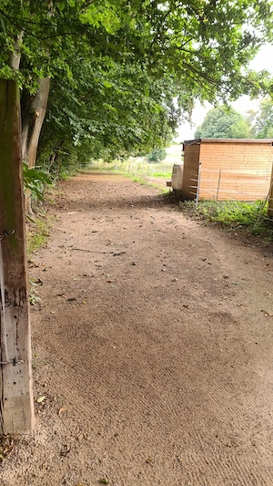 Offenstallplätze frei Bild 2