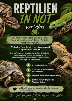 Reptilien Auffnahme 