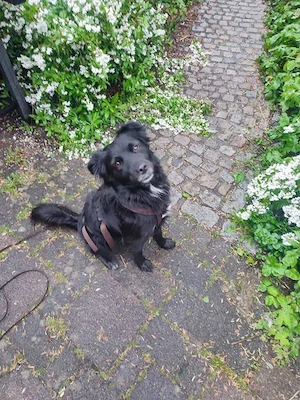 Knutschkugel sucht Dich