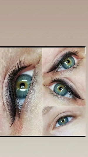 Brow Artist Ausbildung & PMU Basiskurs (3 Zonen)   50% Aktion!  Bild 6