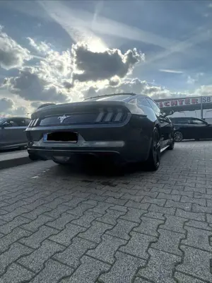 Ford Mustang 3.7 V6 Cyclone (Tausch möglich)