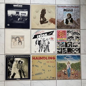 9 Lp Schallplatten Paket Haindling Peter Cornelius Relax Münchner Freiheit Spider Murphy Gang