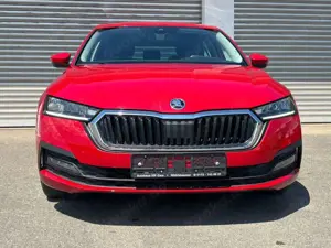 Skoda Octavia Bild 4