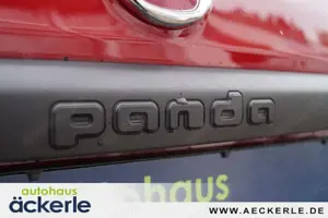 Fiat Panda Cross Red I Sonderedition "RED" I Allwetterreifen
