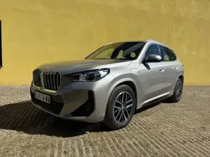 BMW X1 25 e xDrive M Sport u. Innovationspaket