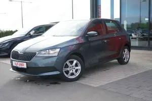 Skoda Fabia 1.0 MPI Cool Plus Sitzheizung Klima USB