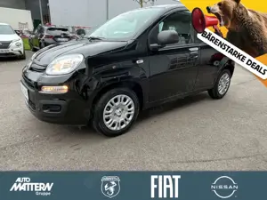 Fiat Panda Pandina Icon,PDC,DAB
