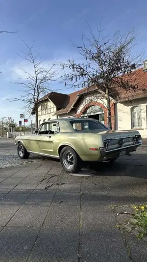 Ford Mustang Ford Mustang Scheibenbr. Vorne · Rechn. 13000€
