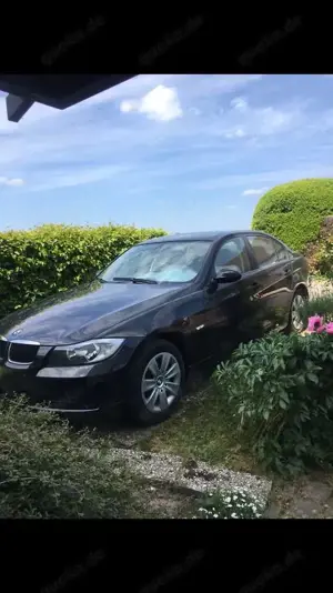 BMW 318 318i