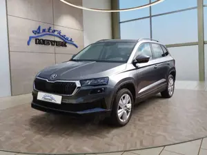 Skoda Karoq 2,0TDI DSG 4x4 Navi/LED/Kamera/ACC/Winterp.   **