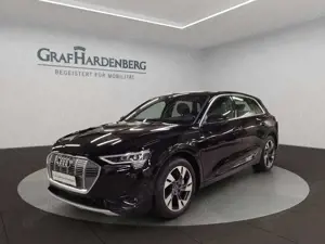Audi e-tron 55 quattro S line 360° Kamera ACC Navi