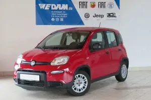 Fiat Panda Base 1.0 MildHybrid 69PS *Klima*
