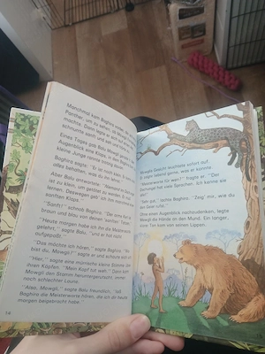 Kinder Buch  Bild 2