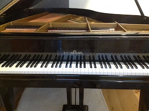 C. Bechstein Flügel, Modell L, 170 cm, Baujahr 1975, Seriennummer 167456