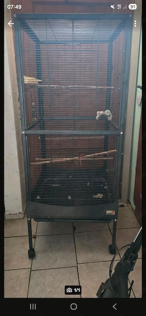 Vogelkäfig 