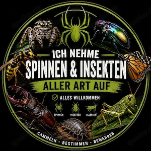Wir nehmen Spinnen und Insekten aller Art auf.