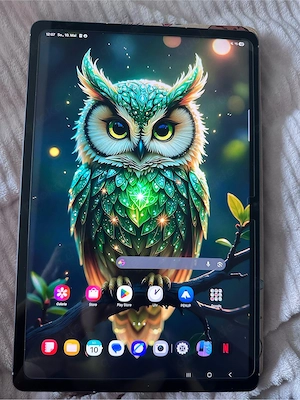 Samsung Tab S10 FE+ wie neu 