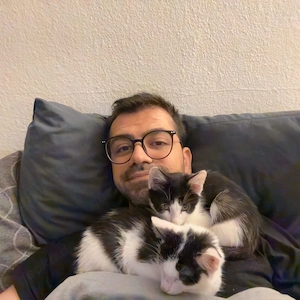 Binx & Zeus - Verspieltes Katzenpärchen sucht spannendes Zuhause Bild 9