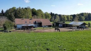 Pferdehofteilvermietung,55qm EL Wohnung mit Stall und Weiden angrenzend, Urlaubsgegend
