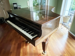 Flügel IBACH 180cm, Salonfügel Bild 6