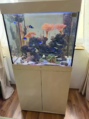 Aquarium Juwel 200 liter 