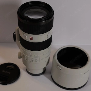 Sony SEL FE 70-200mm f2,8 GM II Bild 10