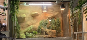 Terrarium 