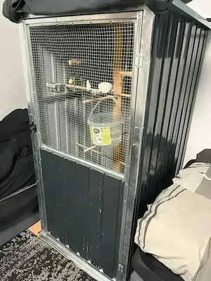 großer papageine käfig 