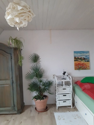wg zimmer zu vermieten