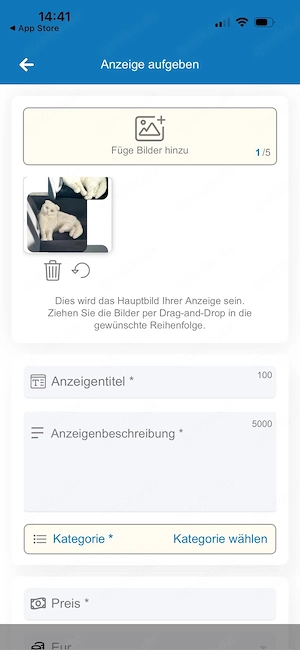 Liebevolle BKH-Mix Katze "Lulu" (1,5 J.) sucht ein neues Zuhause