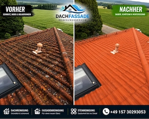 Dachreinigung & Fassadenreinigung vom Profi