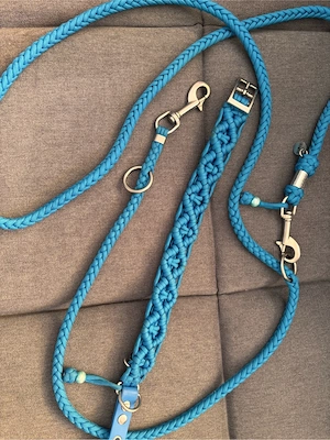Hundeleine und Halsband