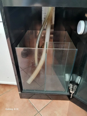 Meerwasser Aquarium komplett mit alle Technik 