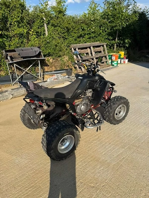 Yamaha YFM Yamaha YFM 350 Raptor Quad Bild 4