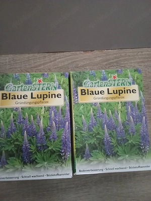 verkaufe saatgut