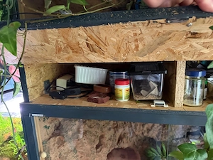    Leopardengeckos mit Zubehör, Technik & Terrarien