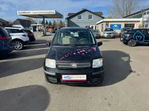 Fiat Panda Bild 2