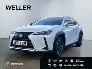 Lexus UX 250h Style Edition *Bi-LED*GJR*CAM*SHZ*ACC*PDC*