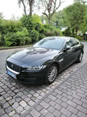 Jaguar XE Prestige Vollausstattung Automatik Inspektion Neu