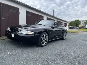Ford Mustang SVT Cobra