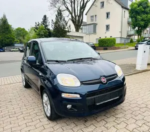 Fiat Panda Lounge Bild 2