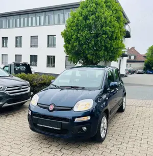 Fiat Panda Lounge Bild 4