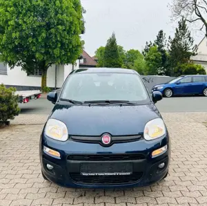 Fiat Panda Lounge Bild 3