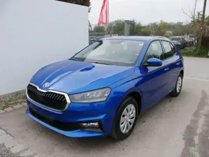 Skoda Fabia Selection 1.0 TSI *LED*PDC-HI*SMARTLINK*SHZ*BLU...