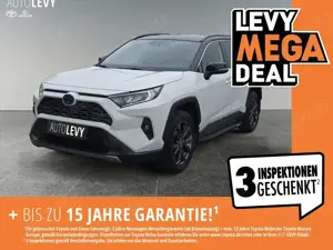 Toyota RAV 4 RAV4 2.5 Hybrid Trittbretter +Navi+SHZ+PDC+Kamera