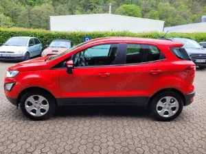 Ford EcoSport Bild 4