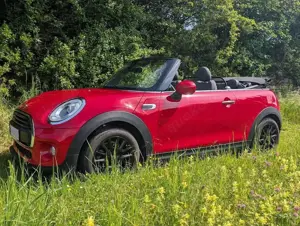MINI One Cabrio Mini One Cabrio, TÜV/ASU u. Service neu