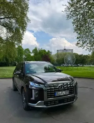 Hyundai PALISADE calligraphy