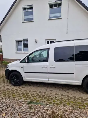 Volkswagen Caddy Maxi Trendline Bild 3