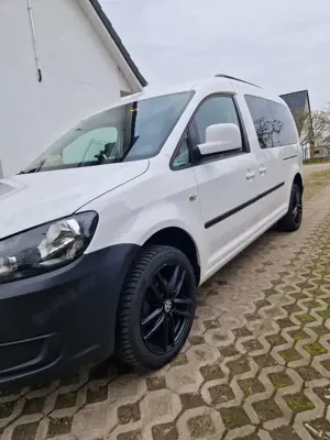 Volkswagen Caddy Maxi Trendline Bild 2